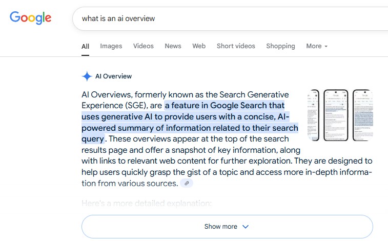 ai overview screenshot