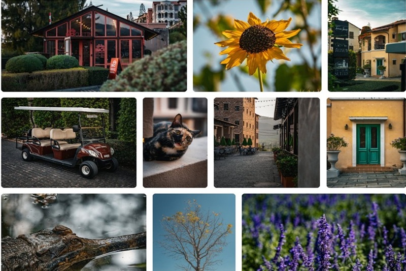 free photos for website design