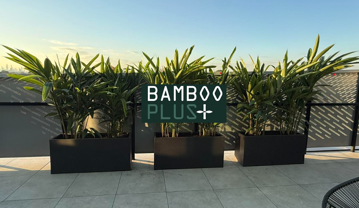 seo case study bamboo